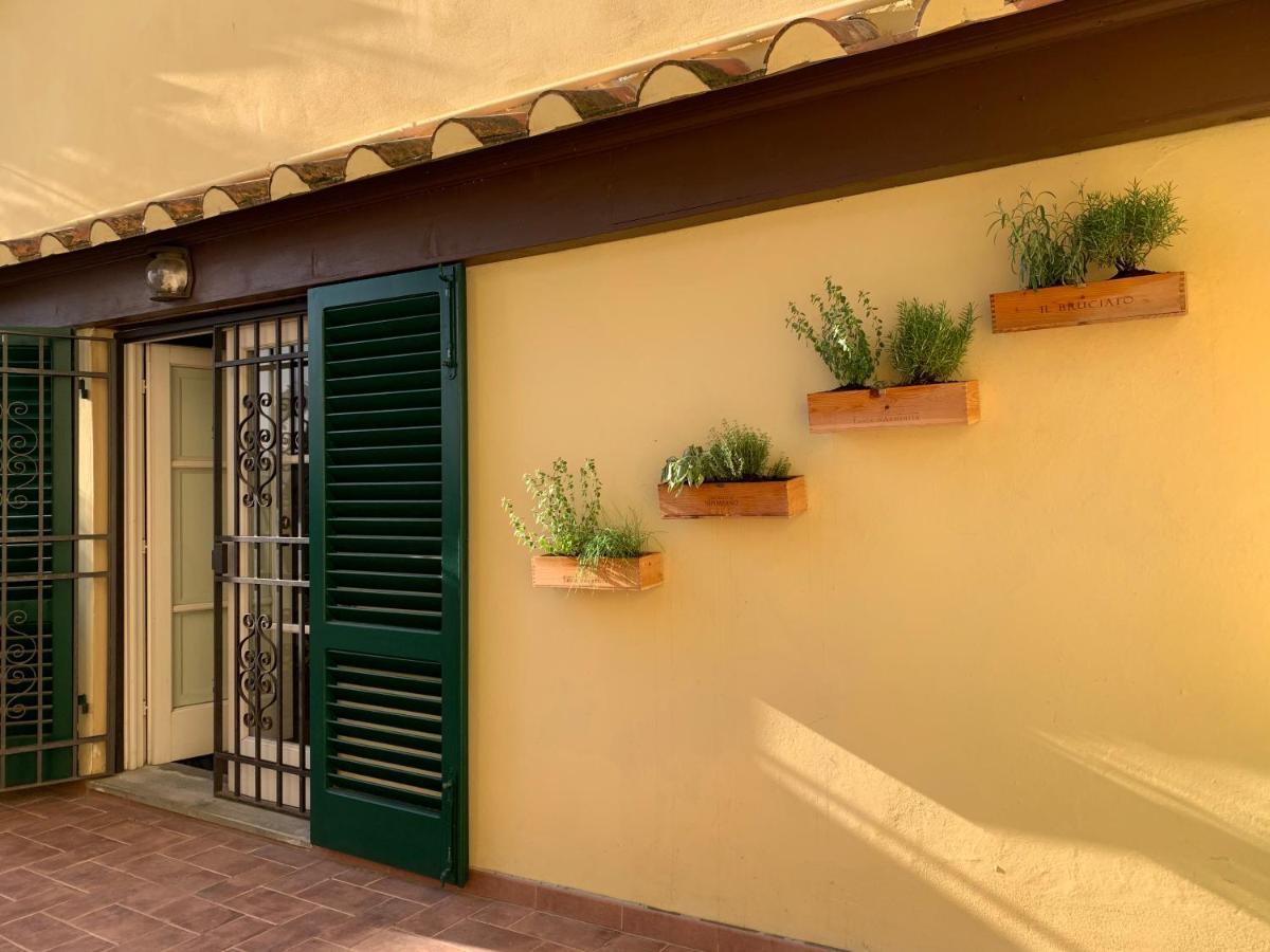 La Terrazza Di Via Elisa Bed & Breakfast Лука Екстериор снимка